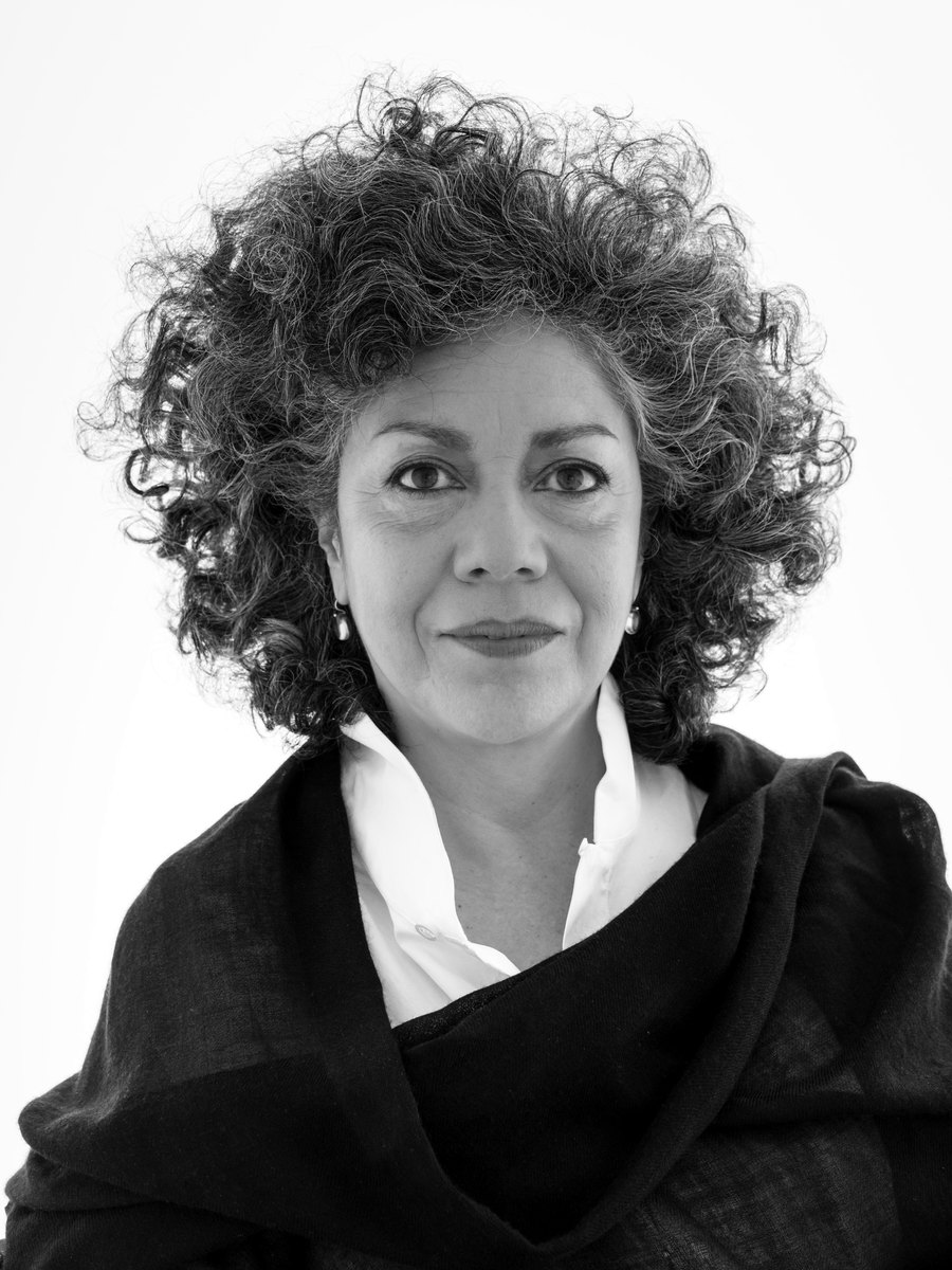 Doris Salcedo